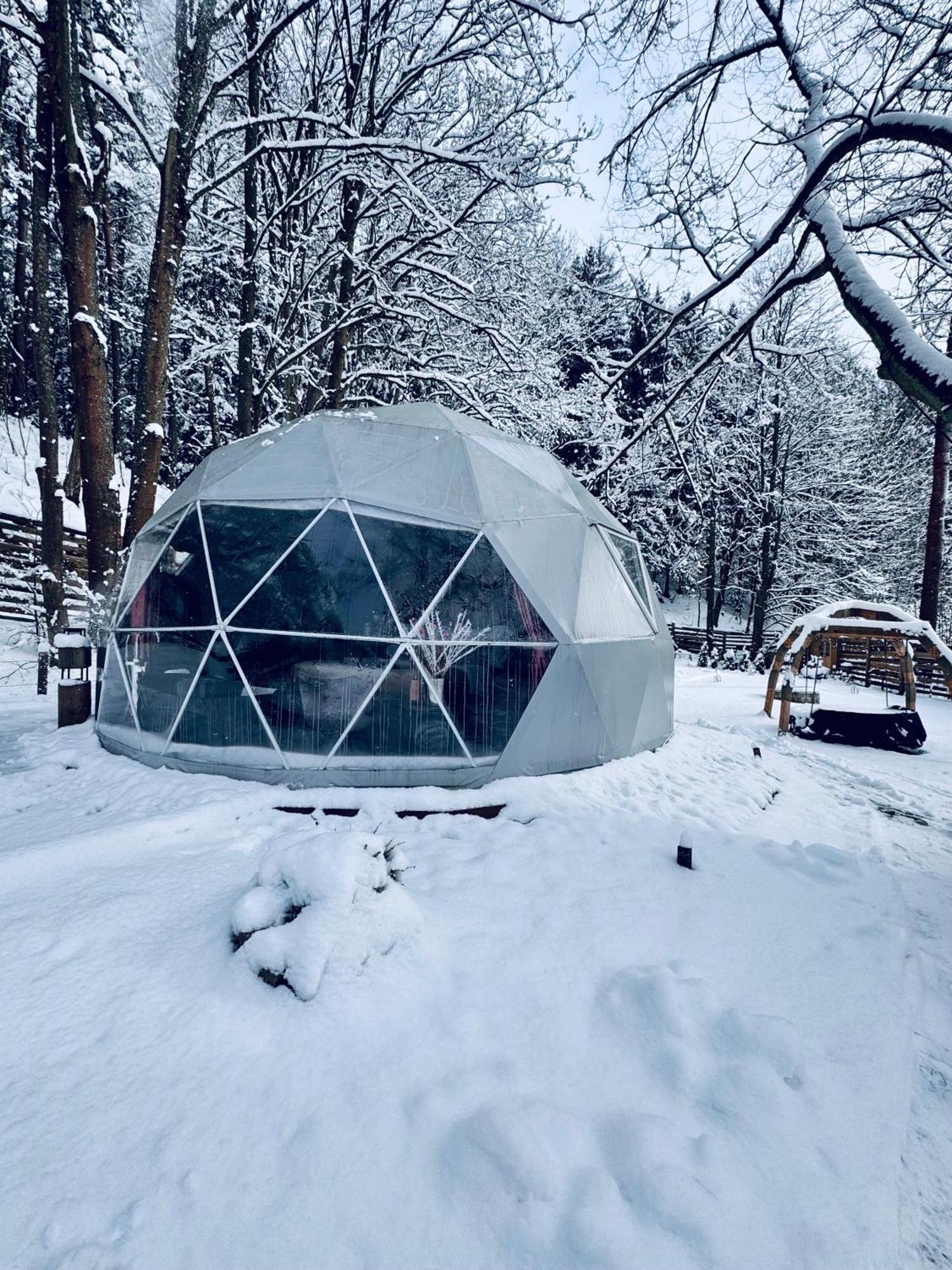 Forrest Glamp Mimo Luxury tent *