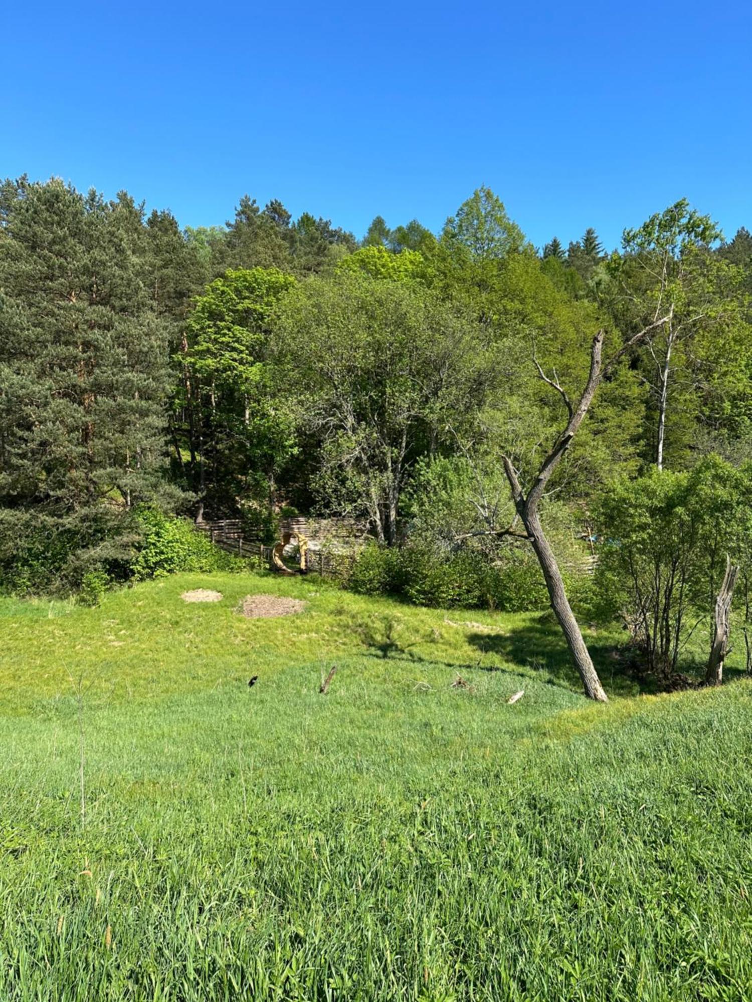 Forrest Glamp Mimo Jablonne v Podjestedi